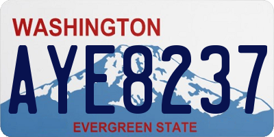 WA license plate AYE8237