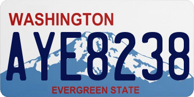 WA license plate AYE8238