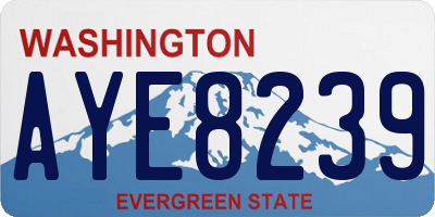 WA license plate AYE8239