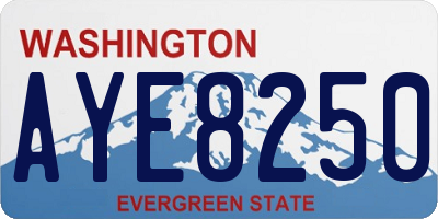 WA license plate AYE8250