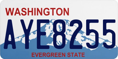 WA license plate AYE8255
