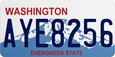 WA license plate AYE8256