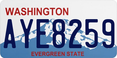 WA license plate AYE8259