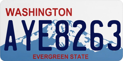 WA license plate AYE8263