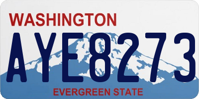 WA license plate AYE8273