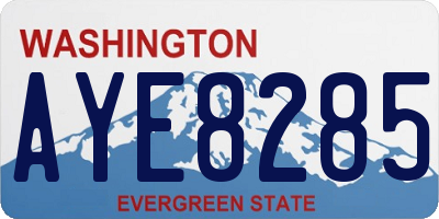 WA license plate AYE8285