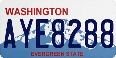 WA license plate AYE8288