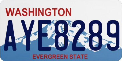WA license plate AYE8289