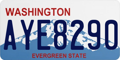 WA license plate AYE8290