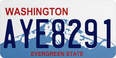 WA license plate AYE8291