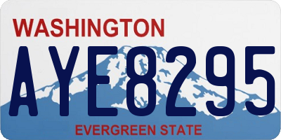 WA license plate AYE8295