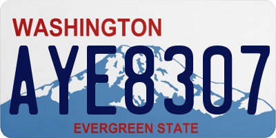 WA license plate AYE8307
