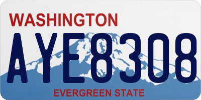 WA license plate AYE8308