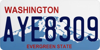 WA license plate AYE8309