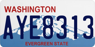 WA license plate AYE8313