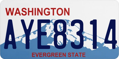 WA license plate AYE8314