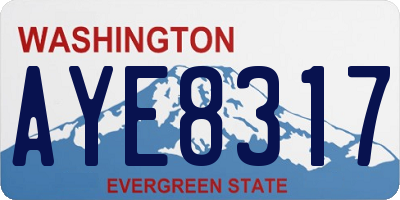 WA license plate AYE8317