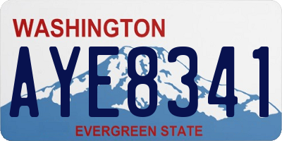 WA license plate AYE8341