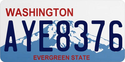WA license plate AYE8376