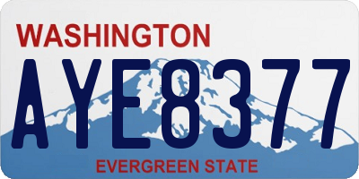 WA license plate AYE8377