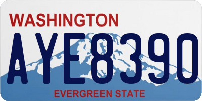 WA license plate AYE8390