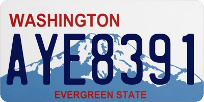 WA license plate AYE8391