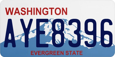 WA license plate AYE8396