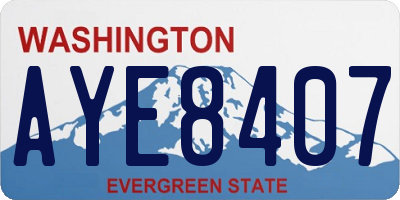 WA license plate AYE8407