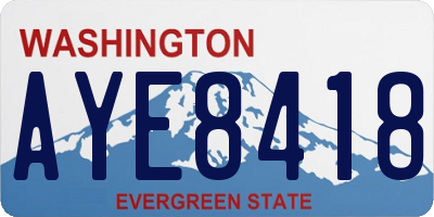 WA license plate AYE8418
