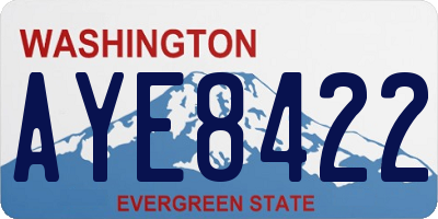 WA license plate AYE8422