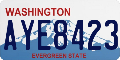WA license plate AYE8423