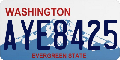 WA license plate AYE8425