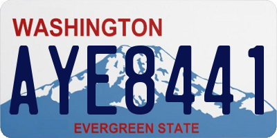 WA license plate AYE8441