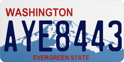 WA license plate AYE8443