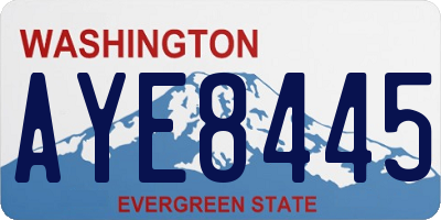 WA license plate AYE8445