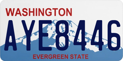 WA license plate AYE8446