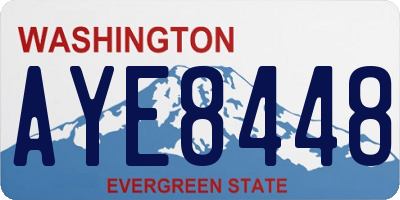 WA license plate AYE8448