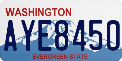 WA license plate AYE8450