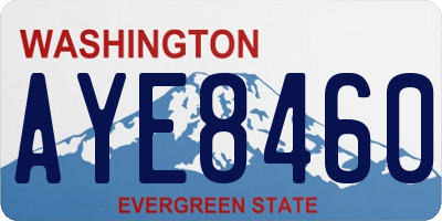 WA license plate AYE8460