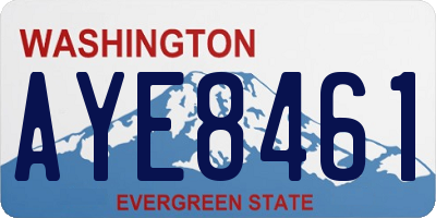 WA license plate AYE8461