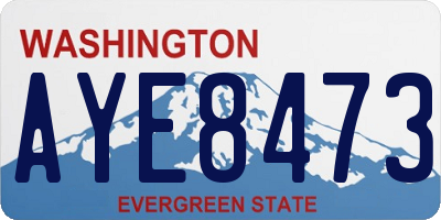 WA license plate AYE8473