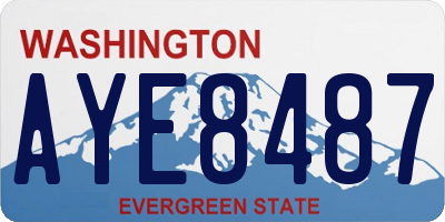 WA license plate AYE8487