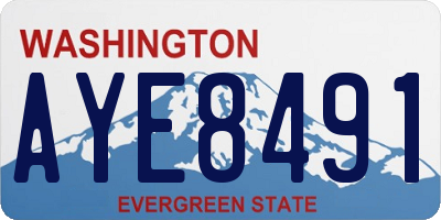 WA license plate AYE8491