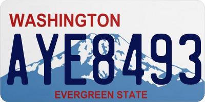 WA license plate AYE8493