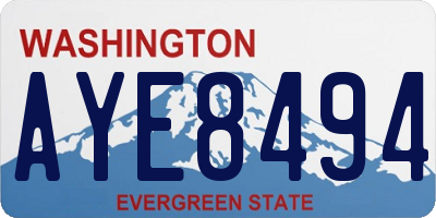WA license plate AYE8494