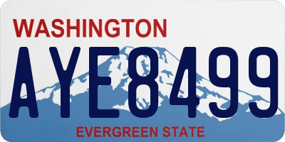 WA license plate AYE8499