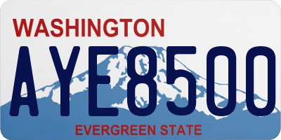 WA license plate AYE8500