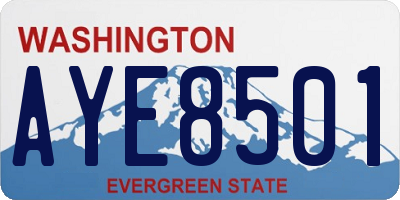 WA license plate AYE8501