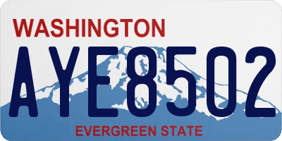 WA license plate AYE8502