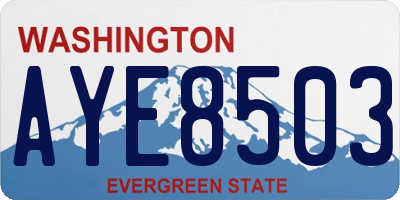 WA license plate AYE8503